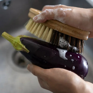 Sisal & Palm Vegetable Brush