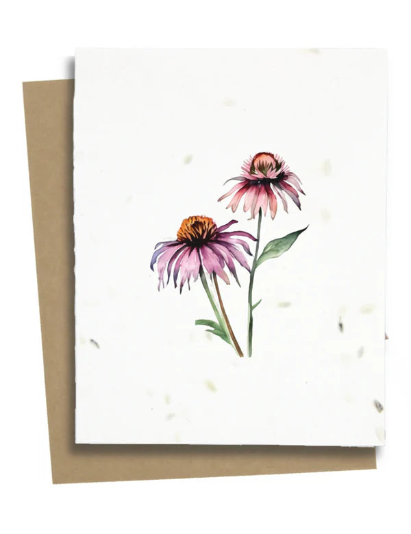 Greet N Grow | Plantable Greeting Cards