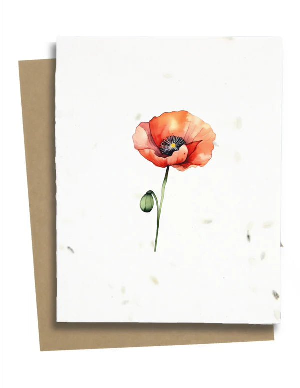 Greet N Grow | Plantable Greeting Cards