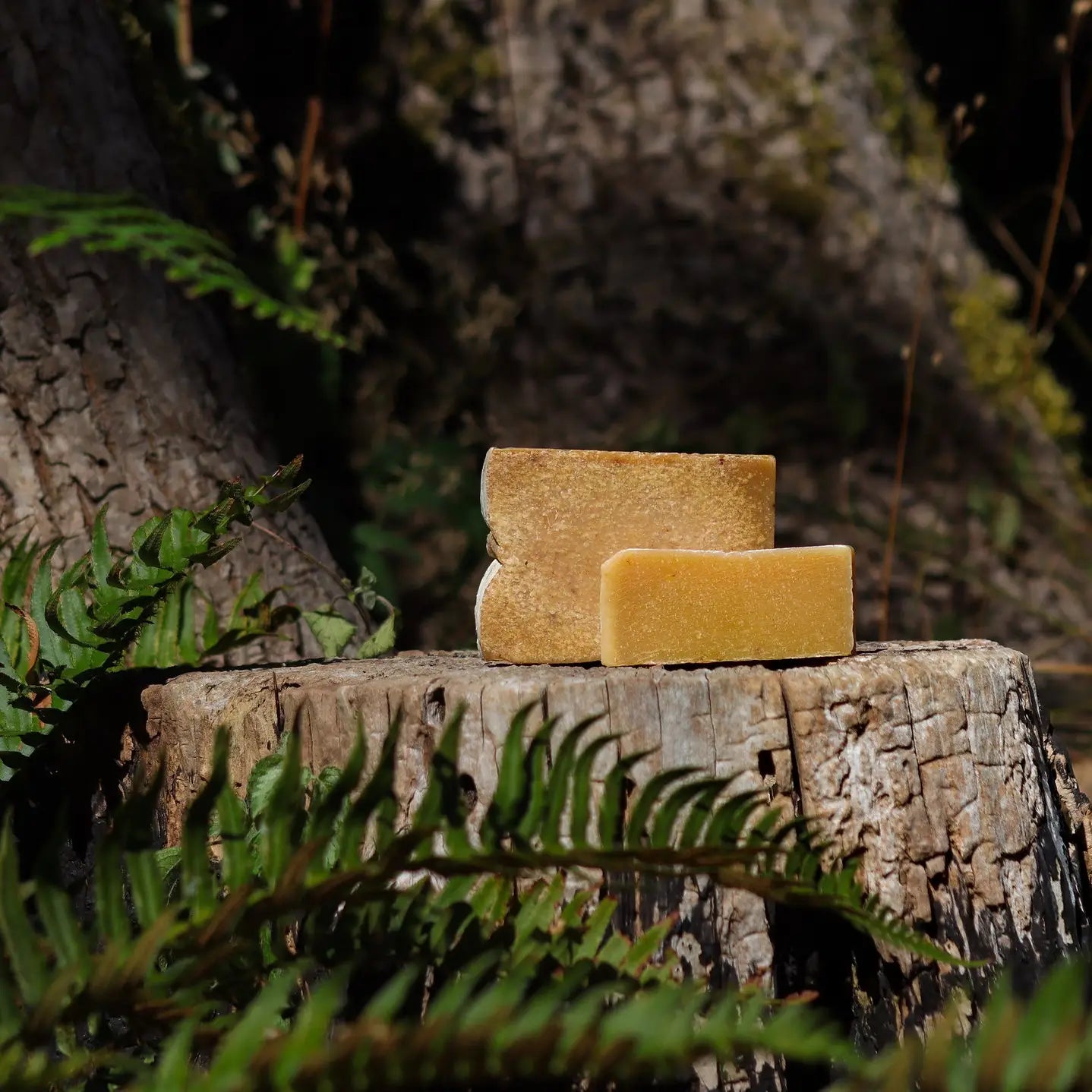 Standing Spruce Natural Soap Bars - 5oz (141.75g)